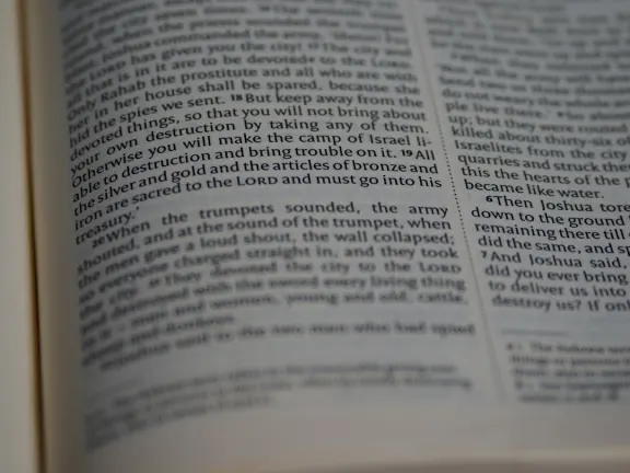 Hejgo Casino Tacaíocht